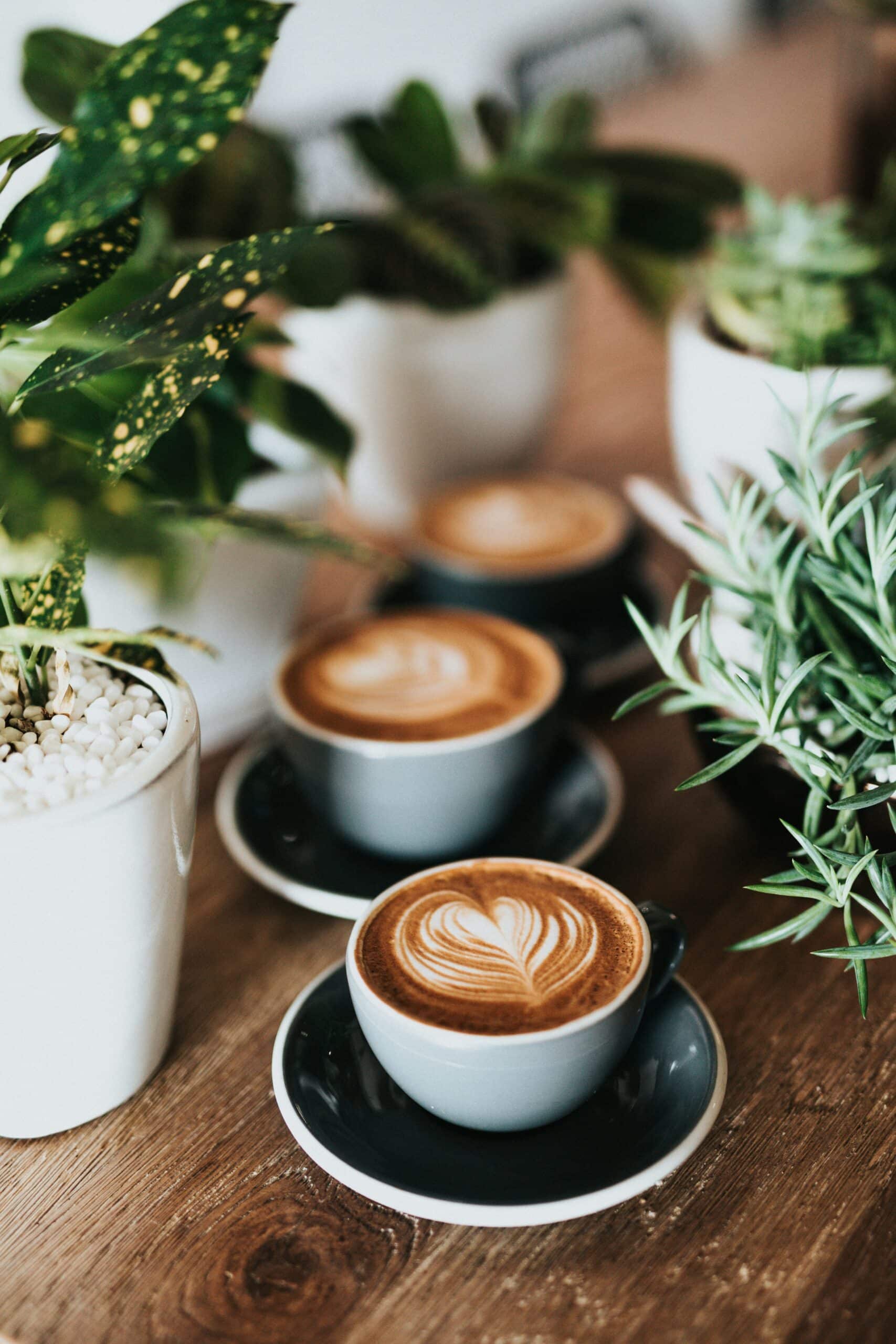 Flere kopper med kaffe og latte art plassert på et trebord, omgitt av grønne potteplanter. Bildet gir en frisk og naturlig atmosfære.