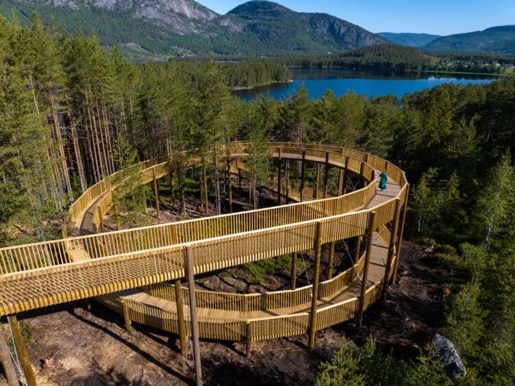 Familietur til Tretopp-stien Hamaren i Fyresdal